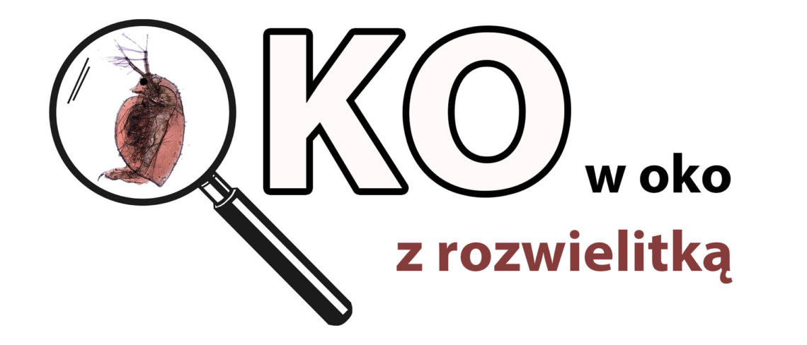 oko w oko z rozwielitką