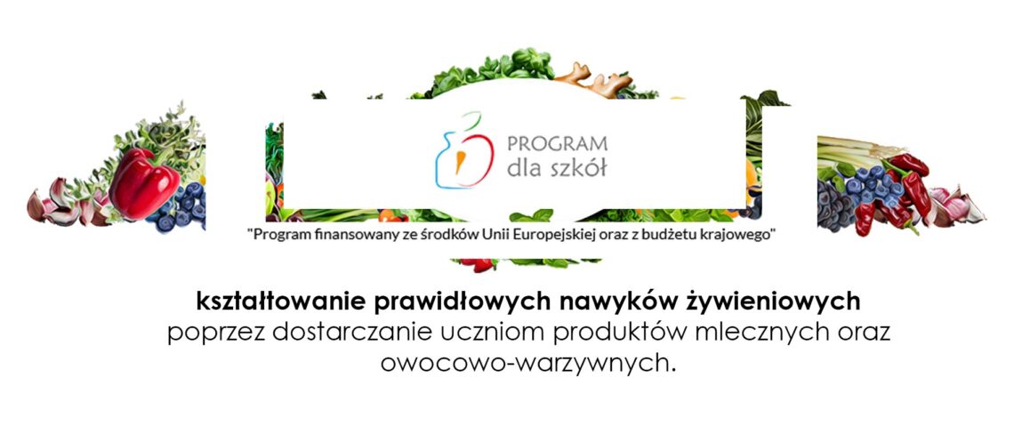 program dla szkół okładka