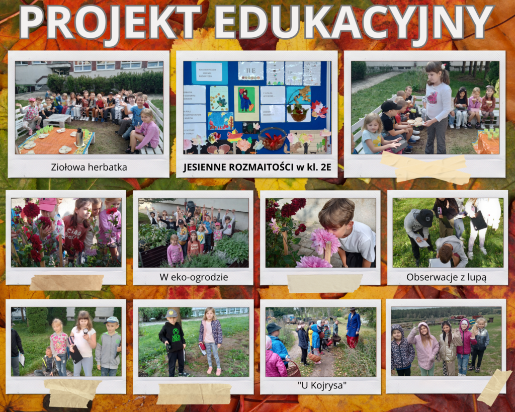 Projekt klasy 2e Jesienne rozmaitości