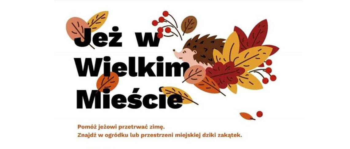 Jeż w wielkim mieście klasa okładka