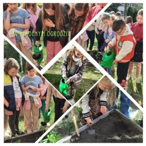 W szkolnym ogrodzie – klasa 3 D kolaż