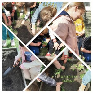 W szkolnym ogrodzie – klasa 3 D kolaż