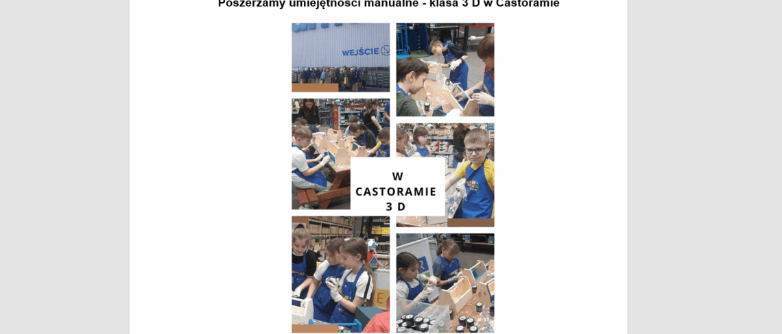 Poszerzamy umiejętności manualne - klasa 3 D w Castoramie okładka